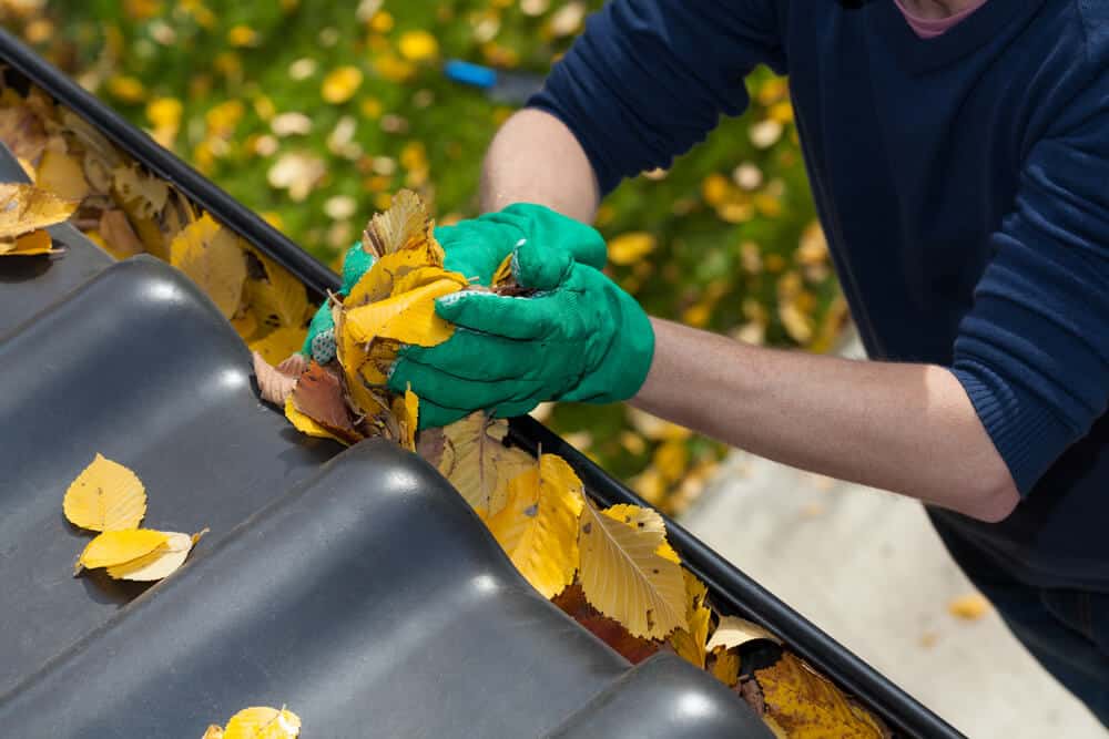 cleaning gutters