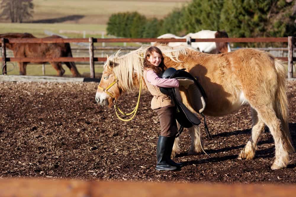 Horse Riding Summer Camps - How To Choose