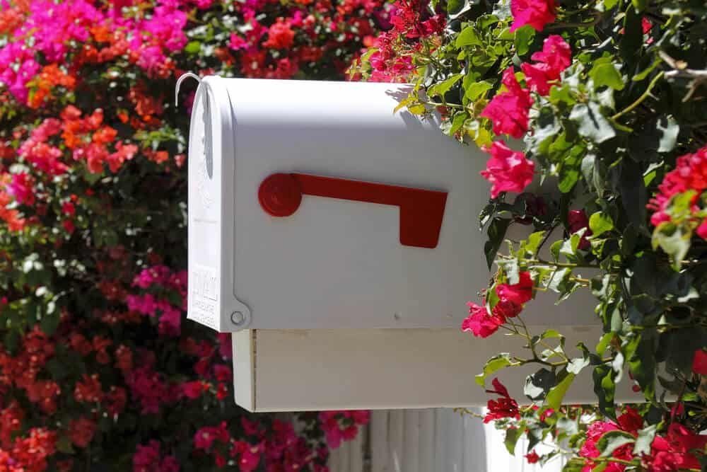 How To Maintain Your Mailbox Year-Round