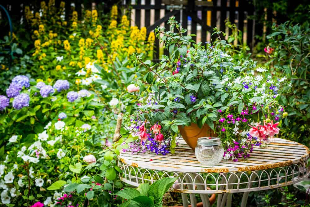 July Gardening Job dead heading plants