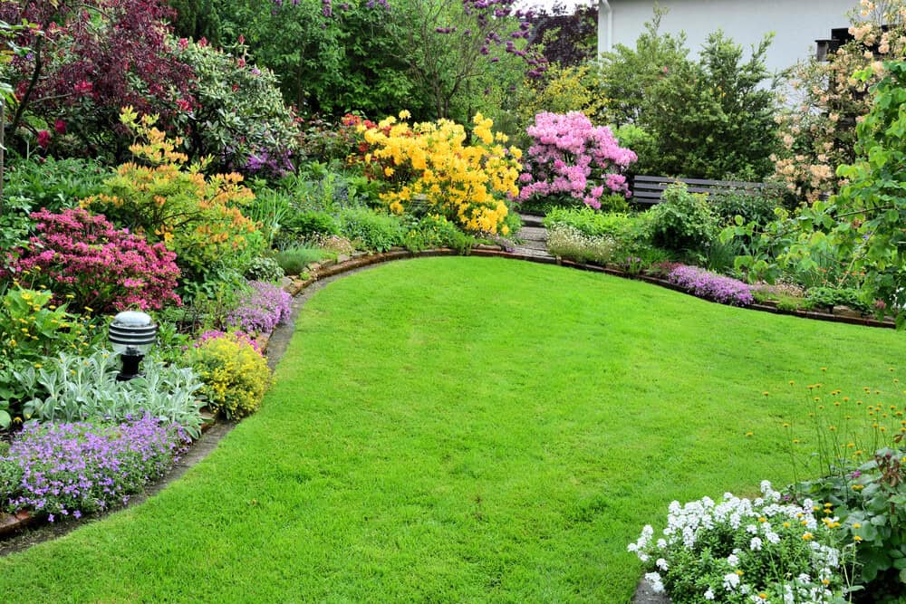 From Seed To Sprout: The Basics Of Growing A Lush Turf