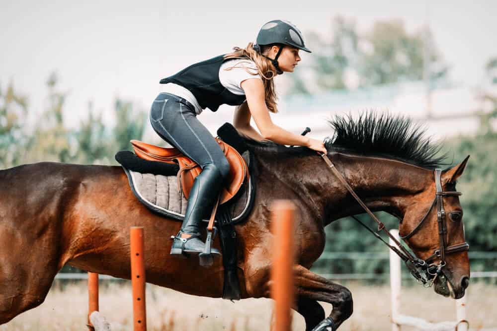 Horse Riding Pants for Women: 13 Ways of Choosing the Perfect Fit 
