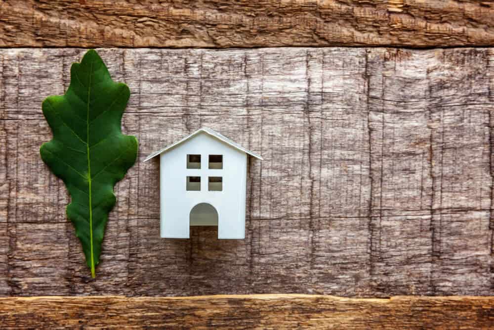 3 Simple Ways to Make Your Home More Sustainable (Without the Stress)