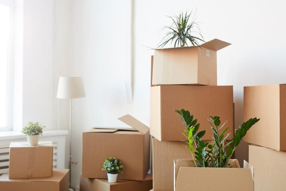 What Are The Best Types of Boxes To Use When Moving Home?