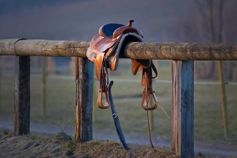 The Gaited Horse Saddle: All You Need To Know