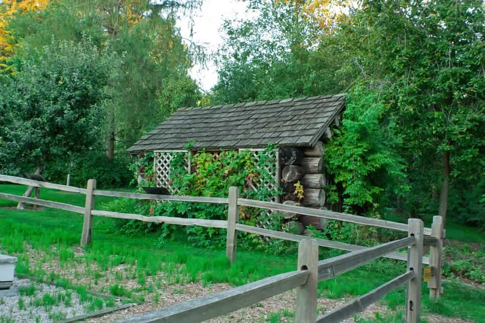 How to Blend Your Shed Seamlessly with Your Home