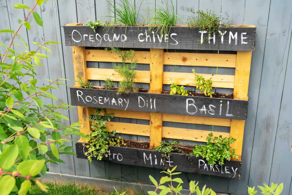 Simple Pallet Planter Ideas - planting herbs
