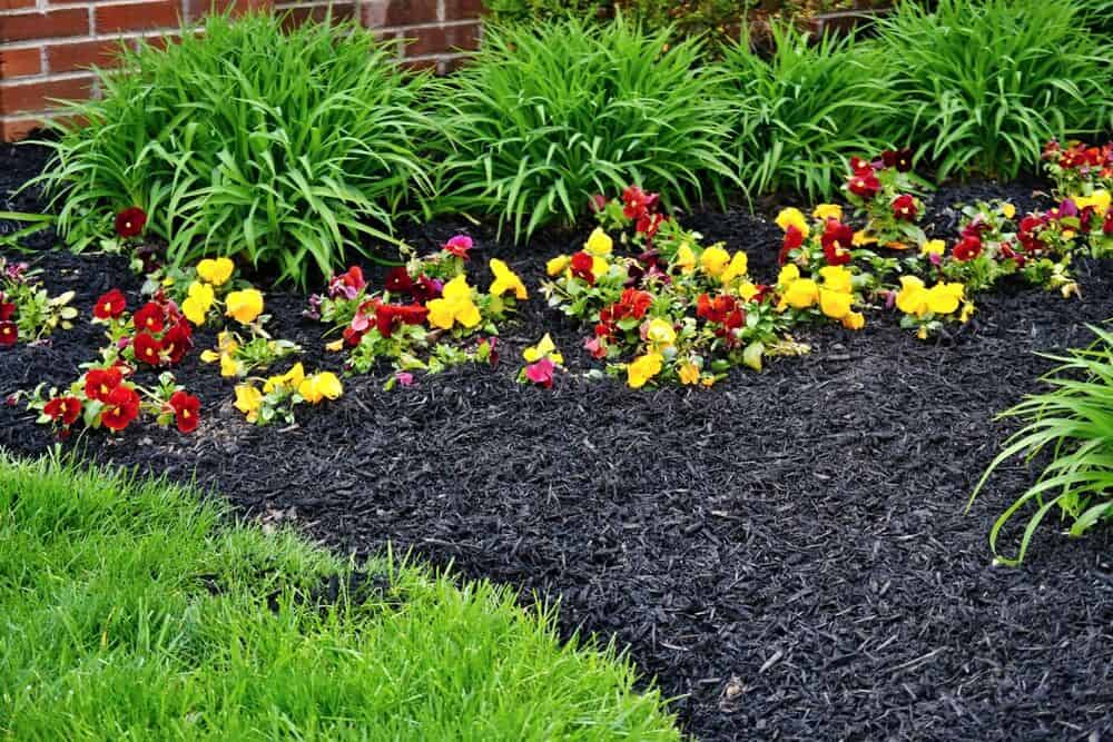 mulch flower beds to smarten up the garden