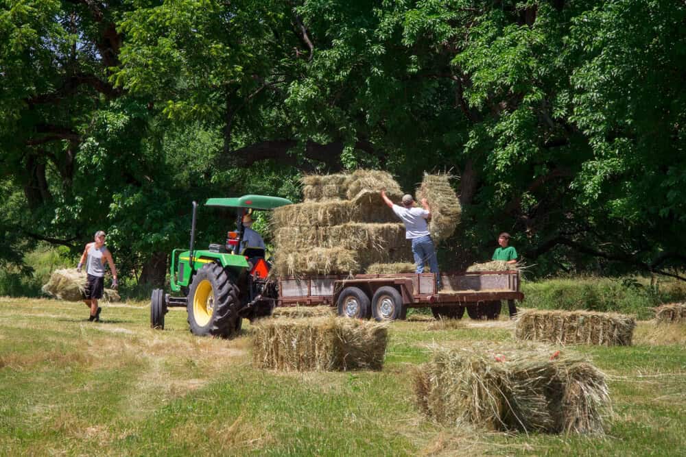 Making & Moving Square Bales