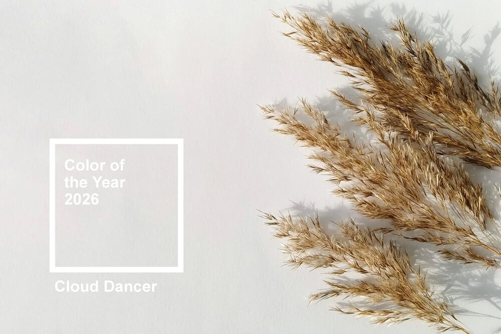 Cloud Dancer: The Pantone Color of the Year 2026 – Light, Airy, and Effortlessly Elegant