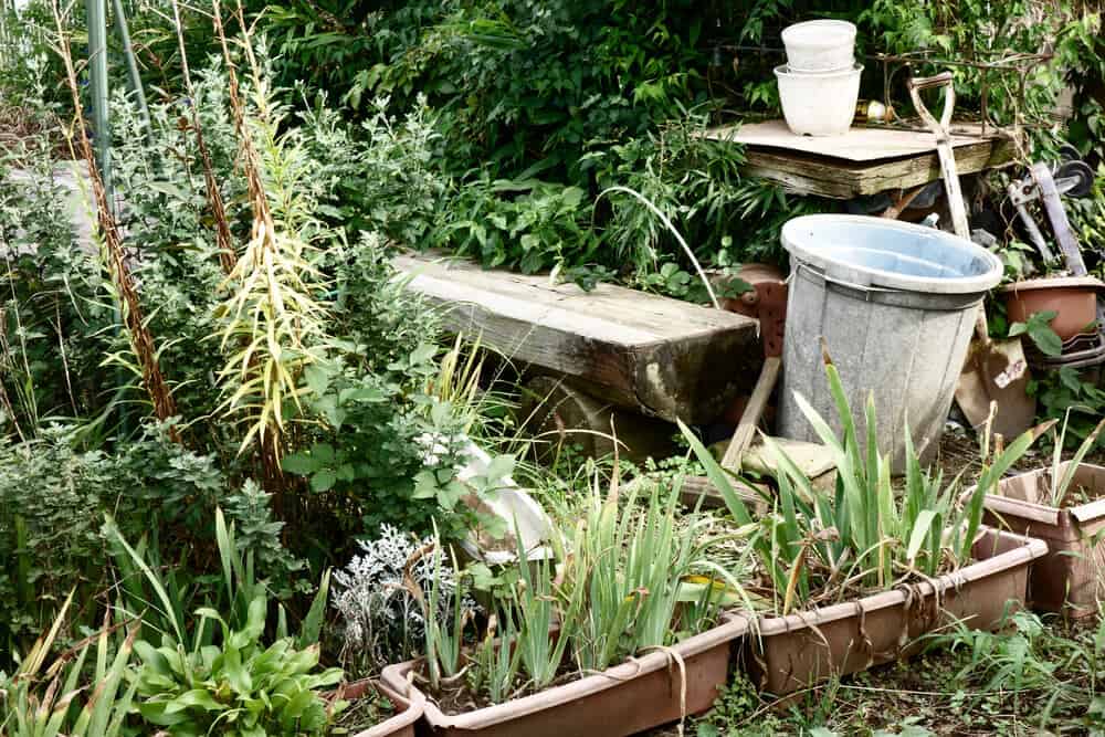 Planning a Garden Makeover? Here’s What Most People Forget Before They Begin