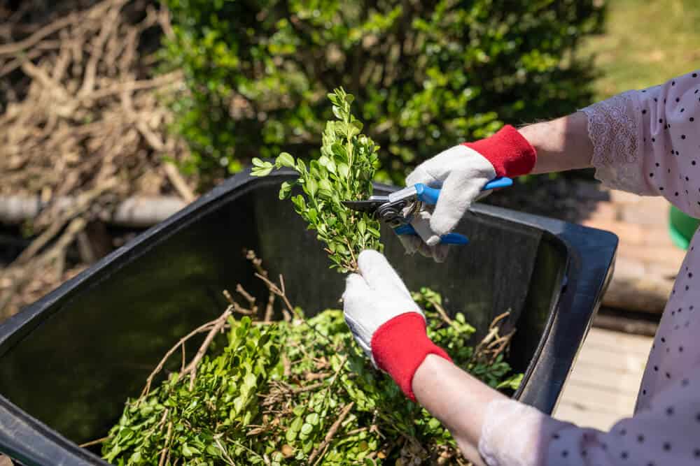 How to Get Started With Cleaning up Your Garden