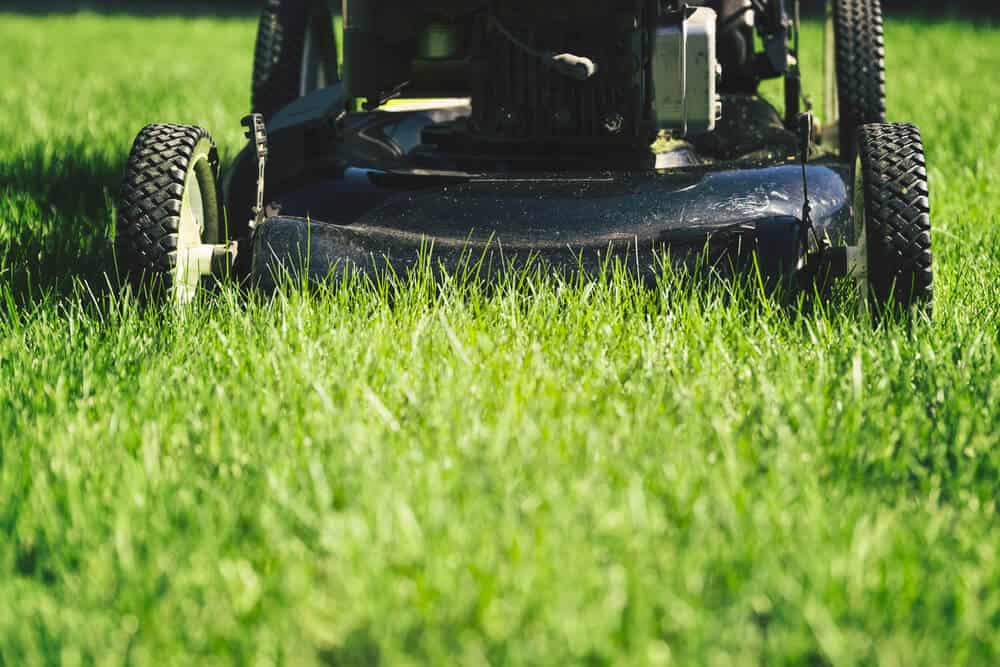 Simple Ways to Maintain a Healthy Lawn