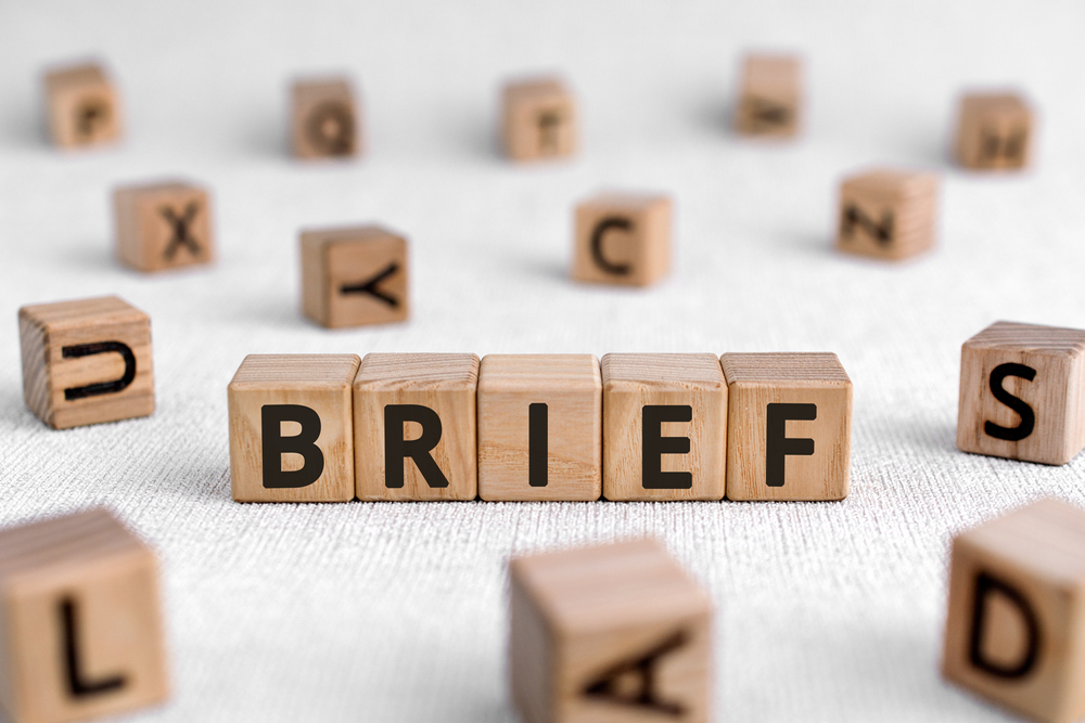 contoh brief untuk influencer