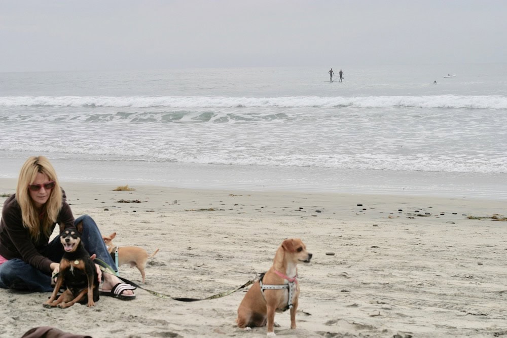 Dog Beach
