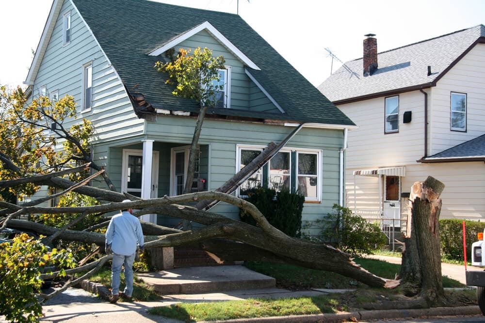 How Professional Tree Care Can Protect Your Home from Severe Weather