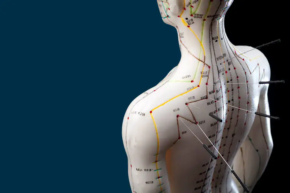 kinesiology