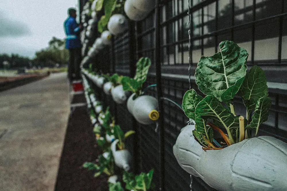sustainable lifestyle