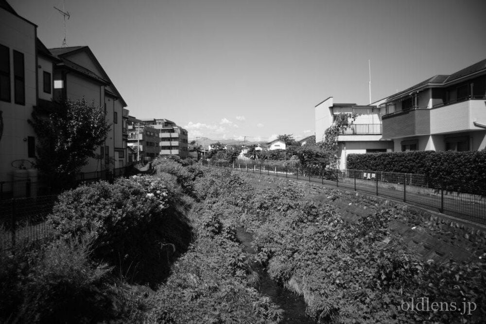 Carl Zeiss Jena Flektogon 20mm F4 レビュー作例 ツァイスの超広角