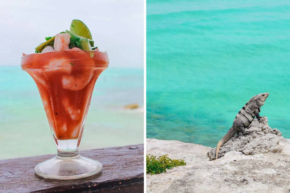 Isla Mujeres Shrimp Cocktail and Iguana Mexico (1)