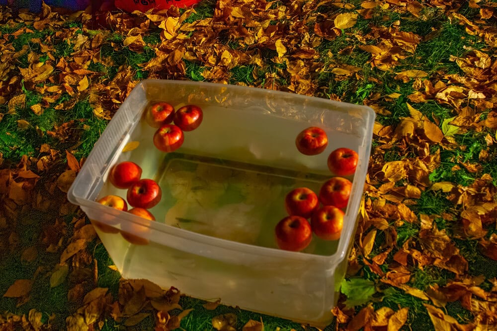 apple bobbing