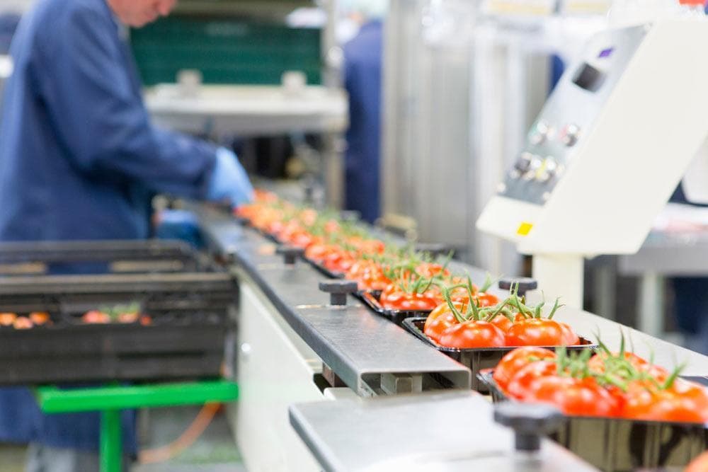 JERVIS B WEBB CONVEYOR AUTOMATIZADO INDUSTRIAL ALIMENTACION BEBIDAS