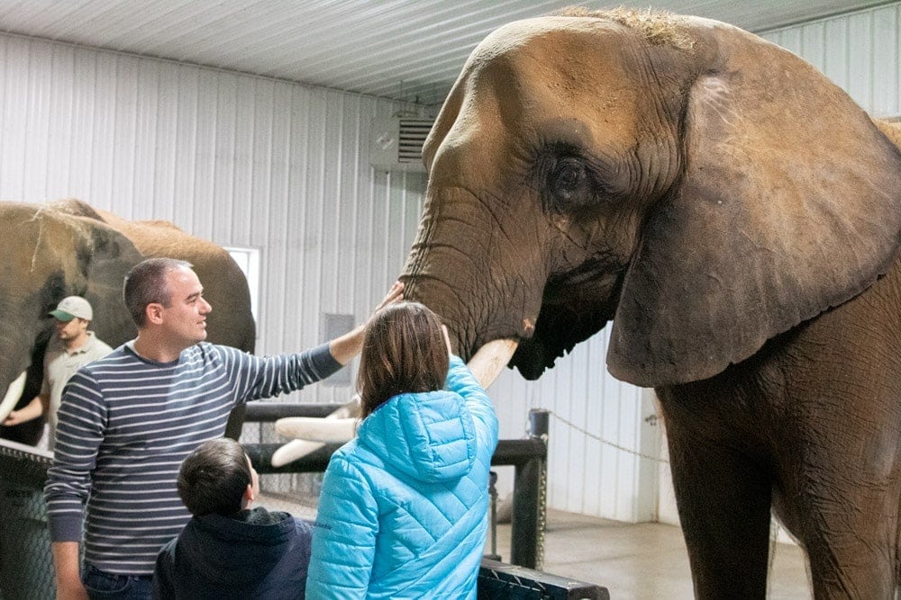 A Spectacular Fall Getaway | Elephants + Pumpkins | Hello Wanderlust Family