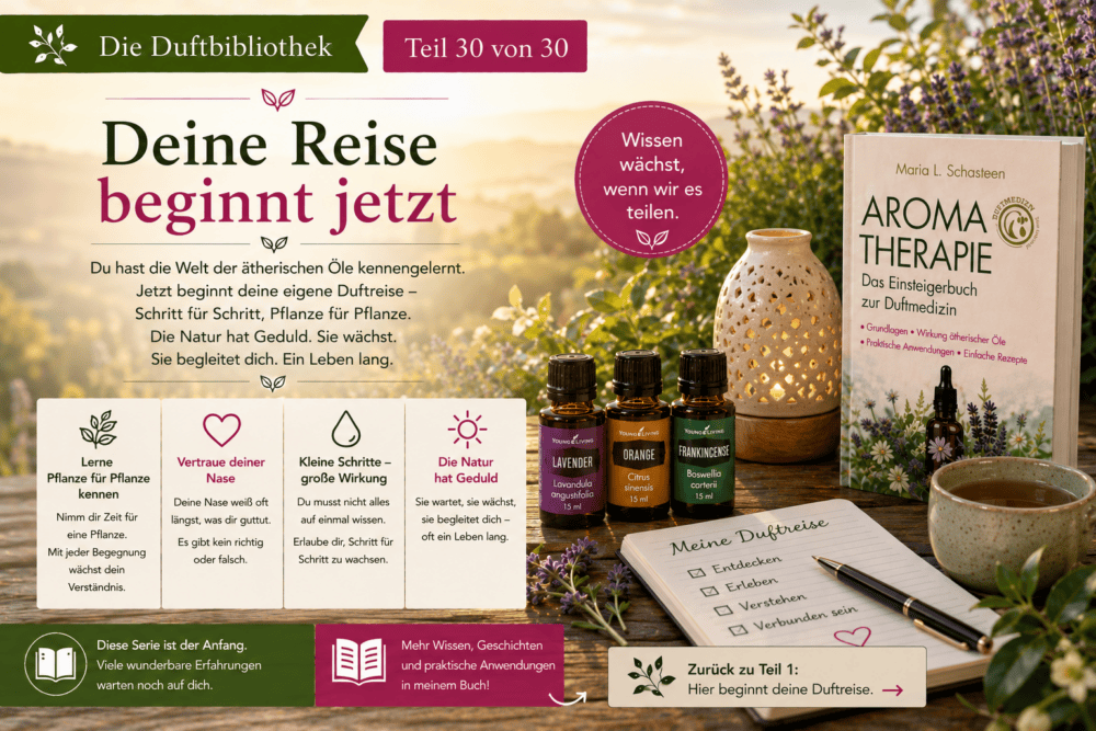 Aromatherapie Einsteigerbuch