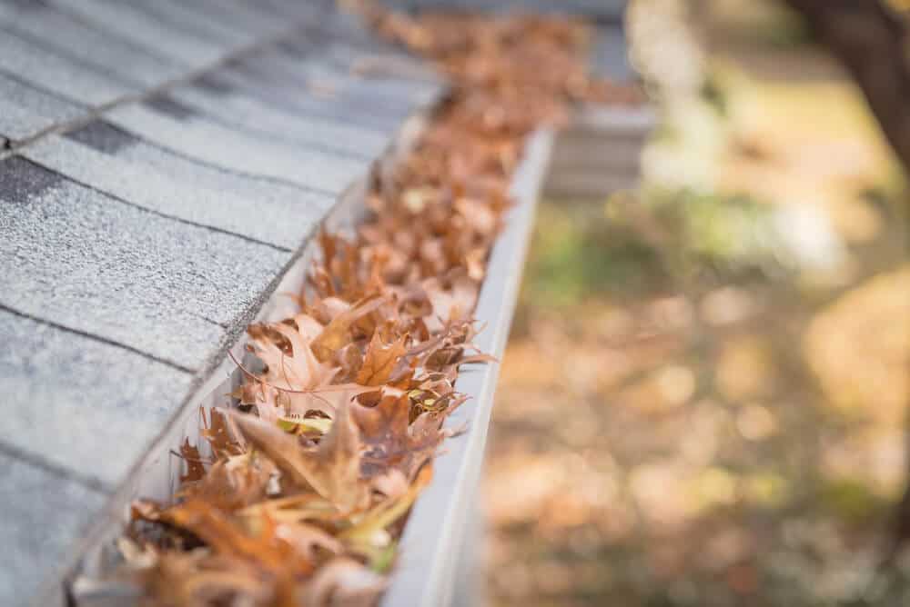 Autumn Home Maintenance Musts