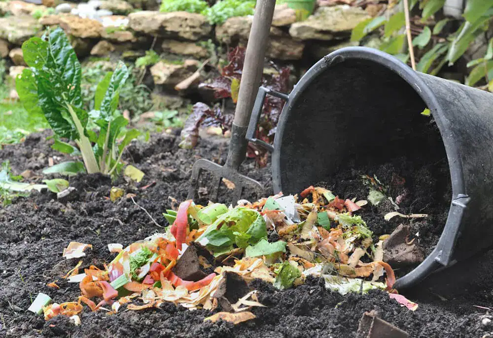 composting