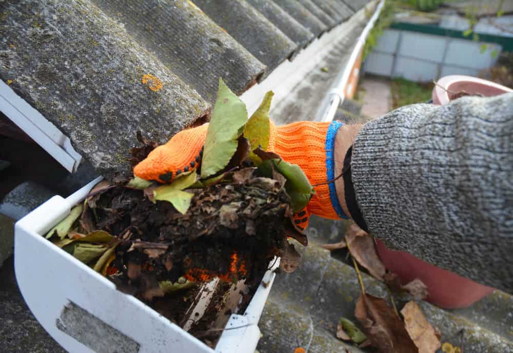 Is It Time To Start Taking Gutter Maintenance More Seriously?