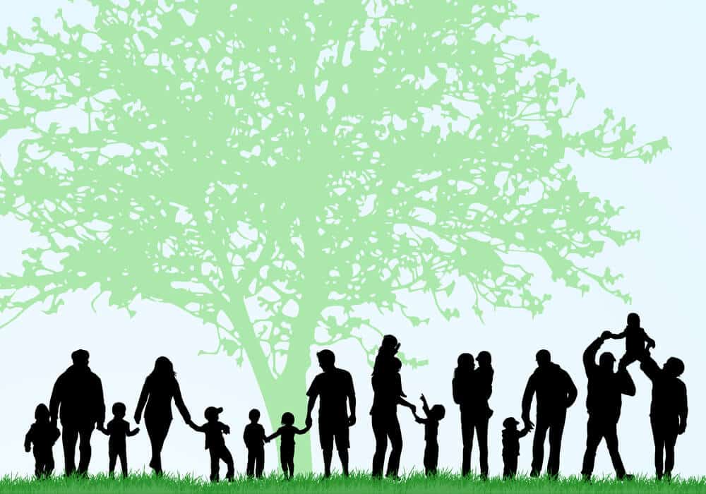 How Surname Meanings Can Reveal Your Family's Story