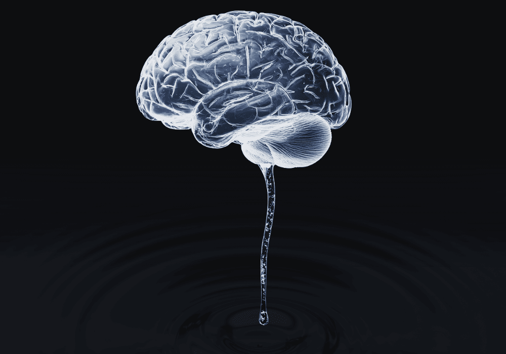 Brain with fluid brain stem - image generated using Midjourney AI