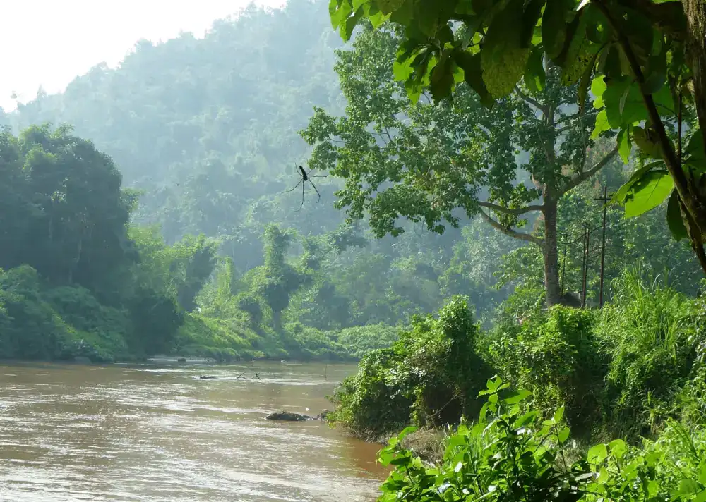 Nongkhyllem Wildlife Sanctuary