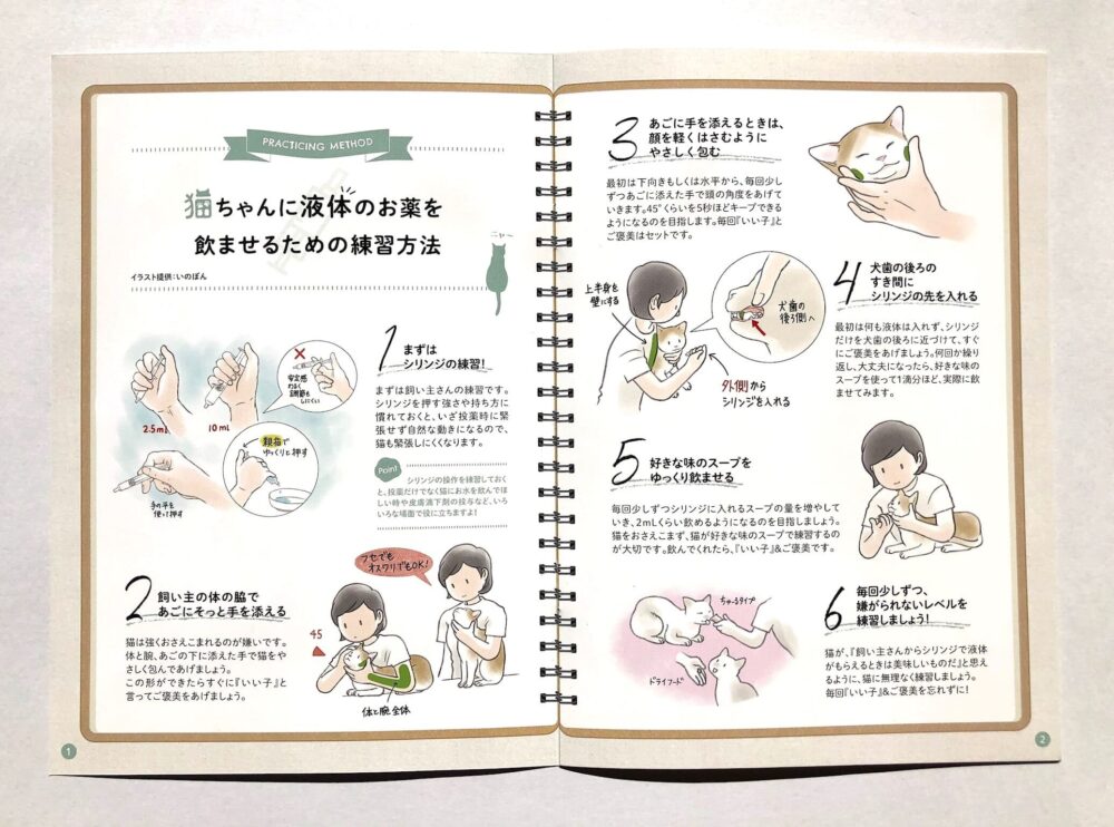 猫の保定方法と薬を与えるための練習