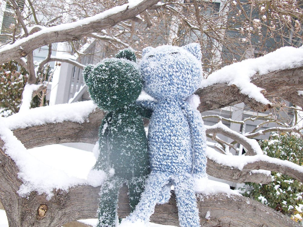 2 stuffed animals with an arm around each other on a branch in the snow | Bishop Hamilton Montessori School in Ottawa