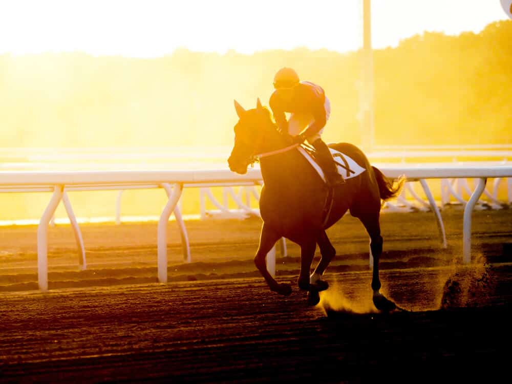 Famous Japanese Horse Names