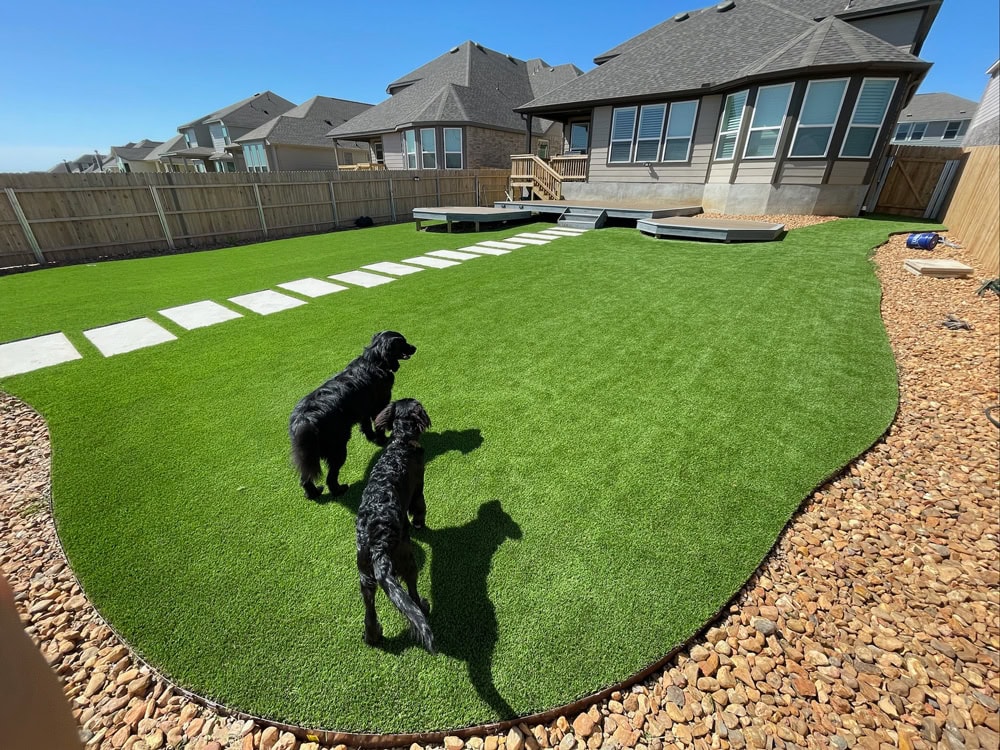 Pet friendly turf installation austin pet friendly turf installation austin