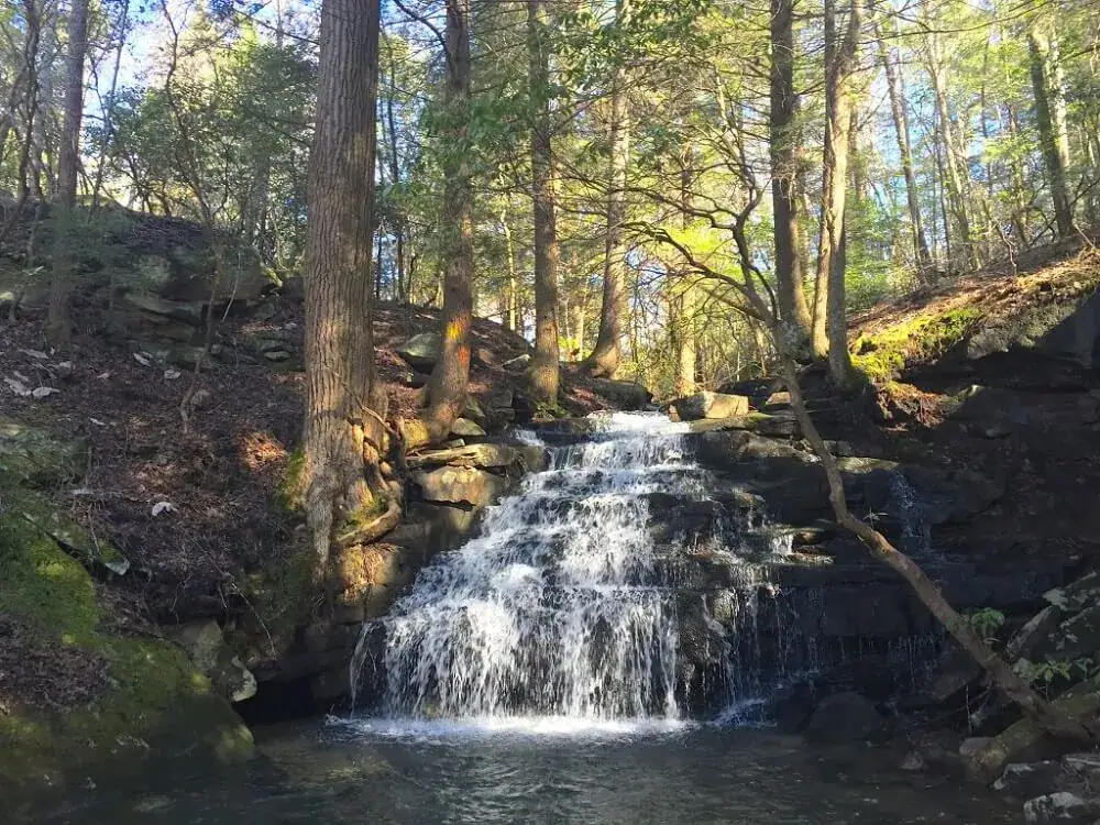 a small waterfall in the forest