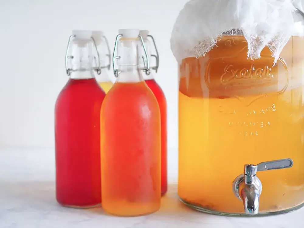 Fermented Foods