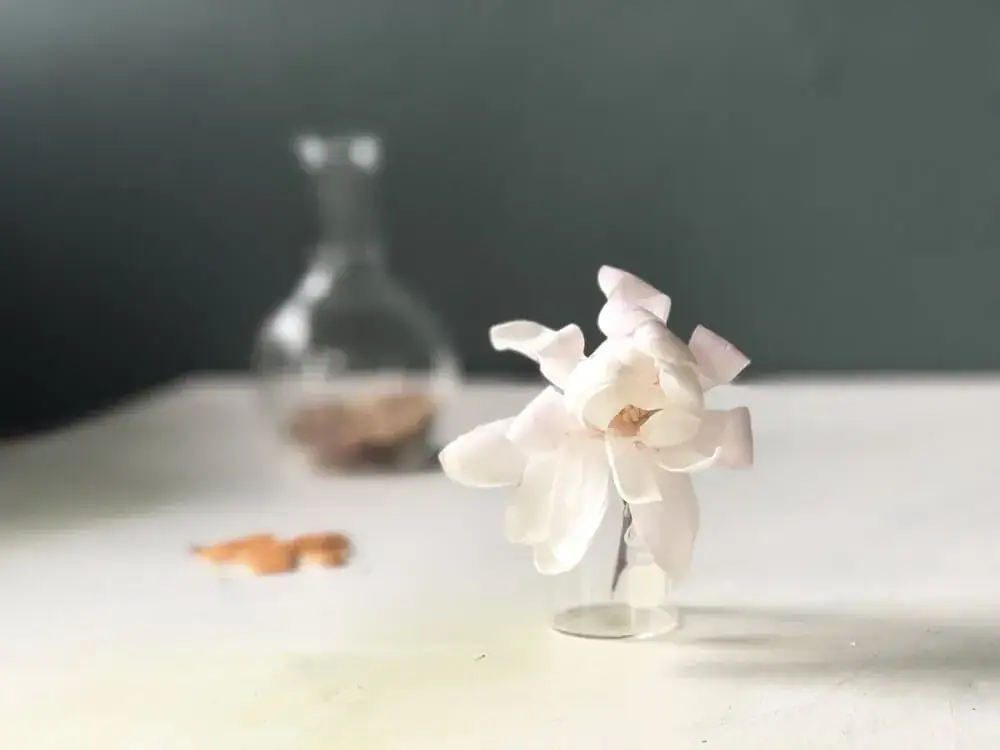 fragrances