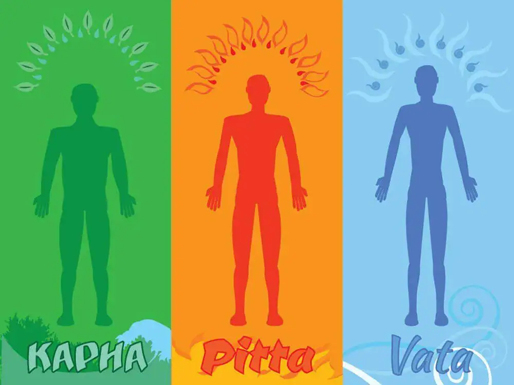 ayurvedic body type