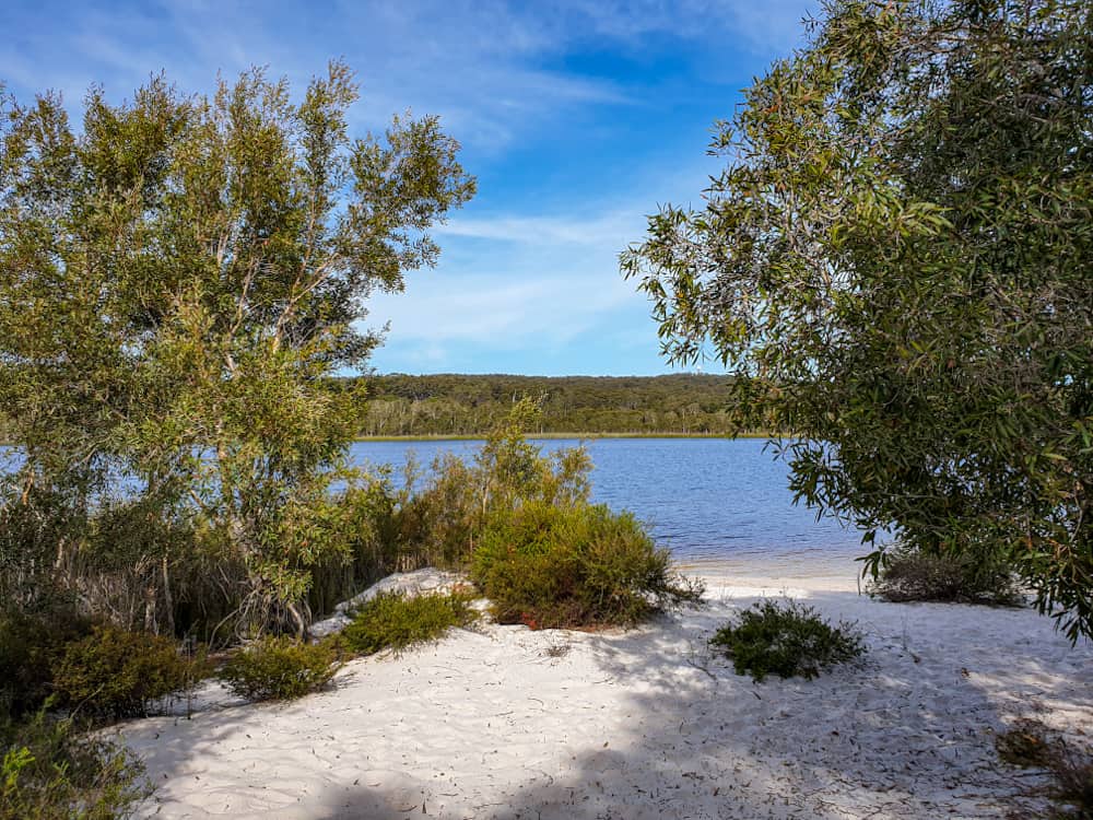 Brown Lake Stradbroke Island