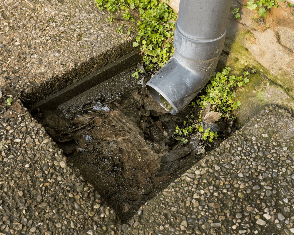 Drain line maintenance Westchester County home Liberty Drain