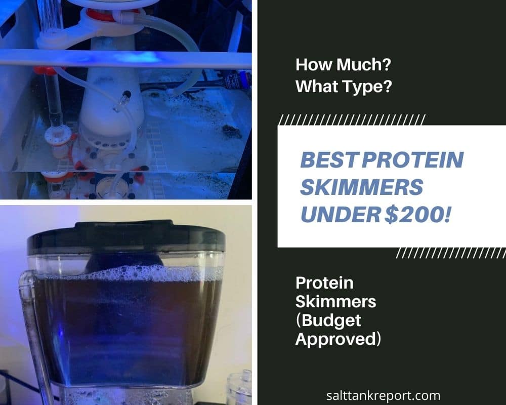 protein skimmers under $200