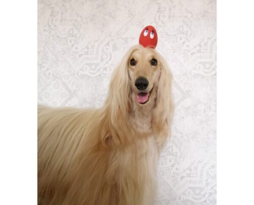 Huevo de Latex - Imagen 3