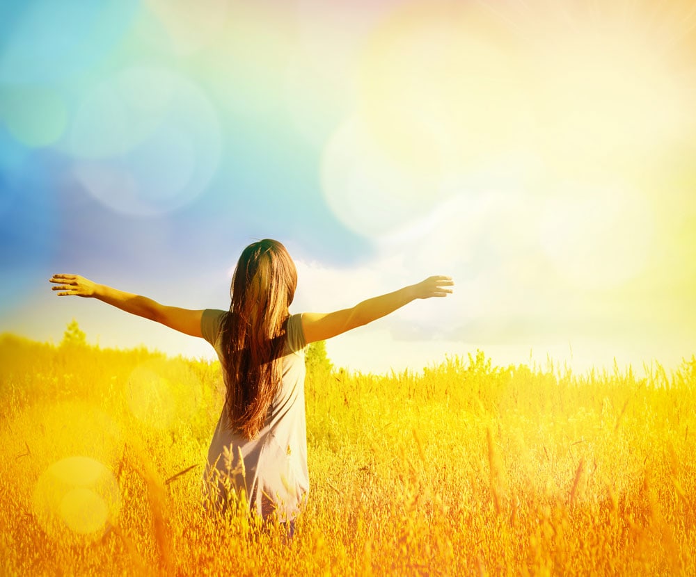 Engellehre - Weizenfeld