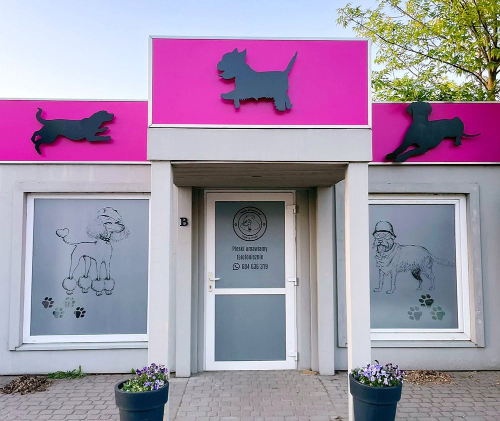 Salon psi fryzjer w Kiekrzu koło Poznania Niżły & Wyżły