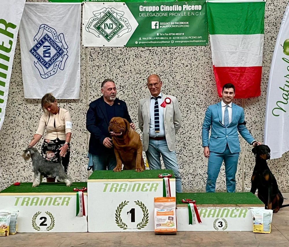 Dobermann maschio Gatsby Drago della Selviata
