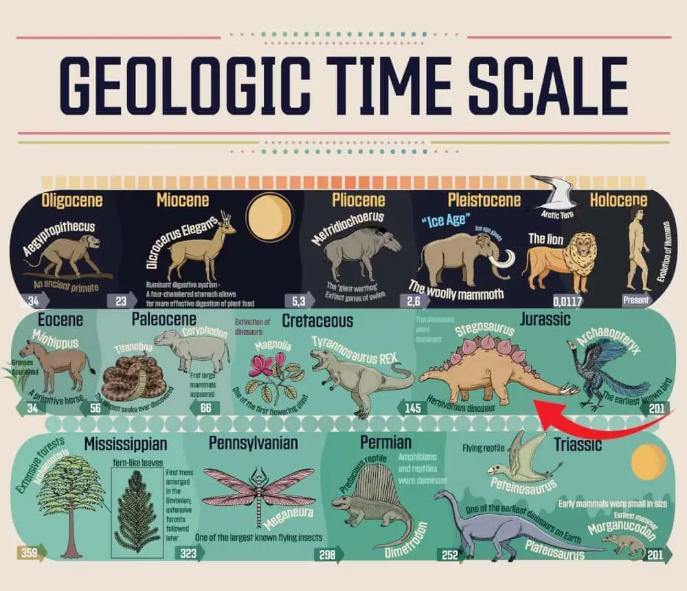 Geologic time scale dipicticing what period the stegosaurus lived